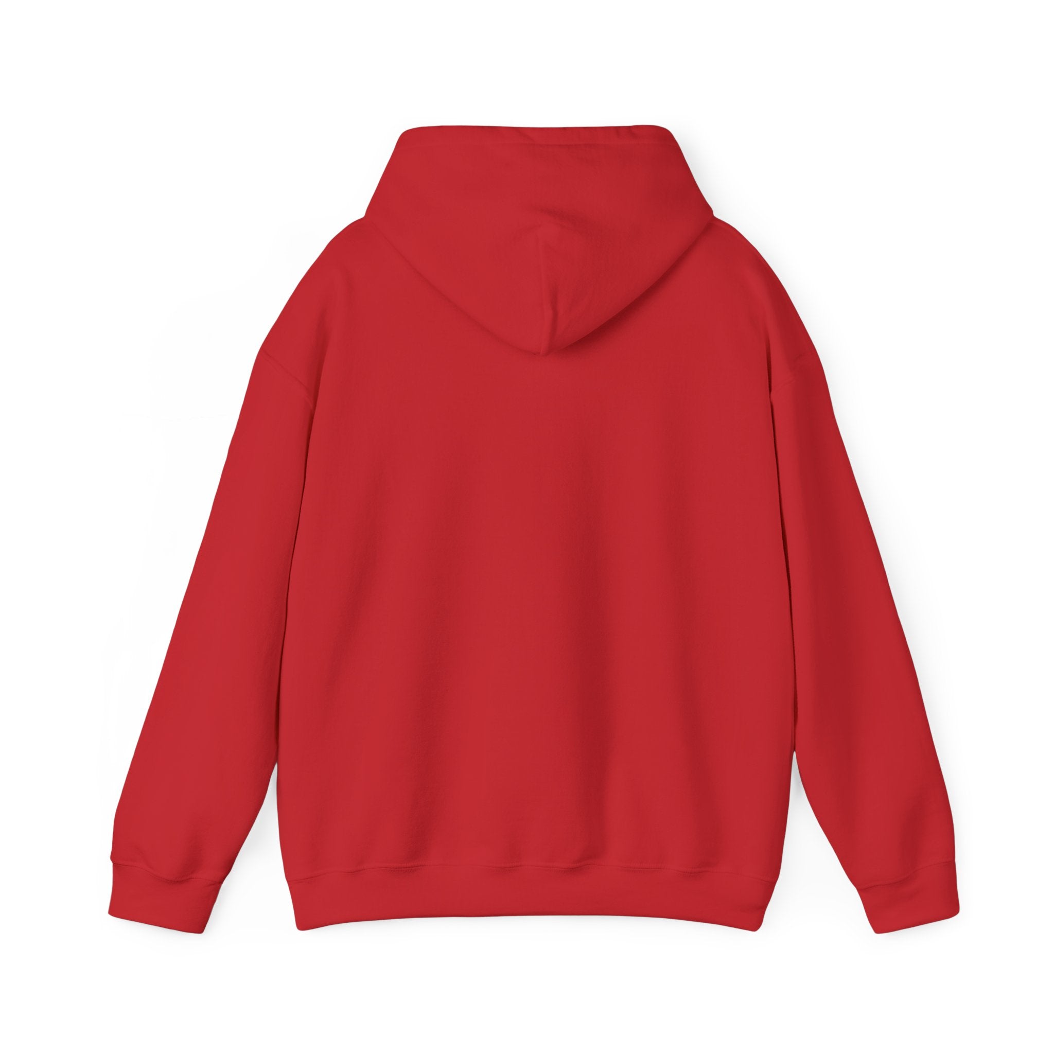 Heating And Cooling System Hoodie