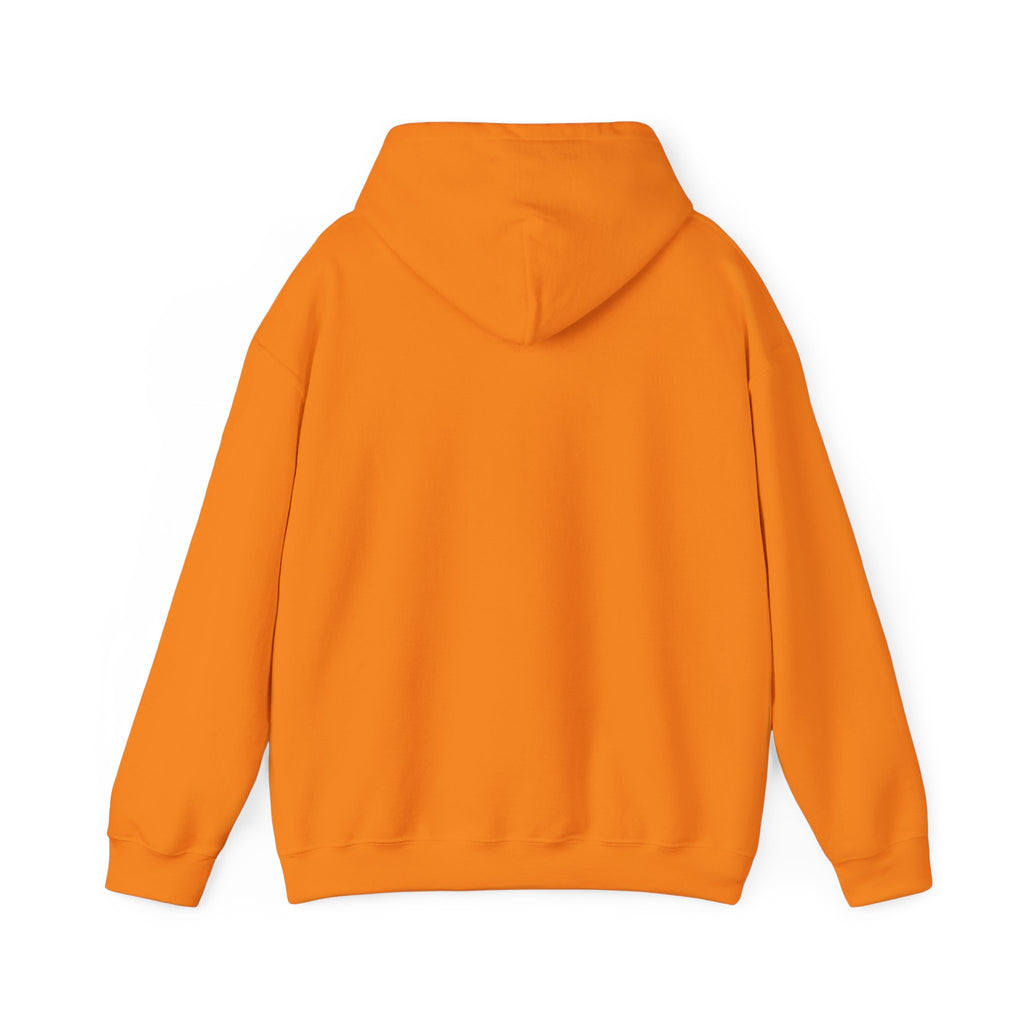 Heating And Cooling System Hoodie
