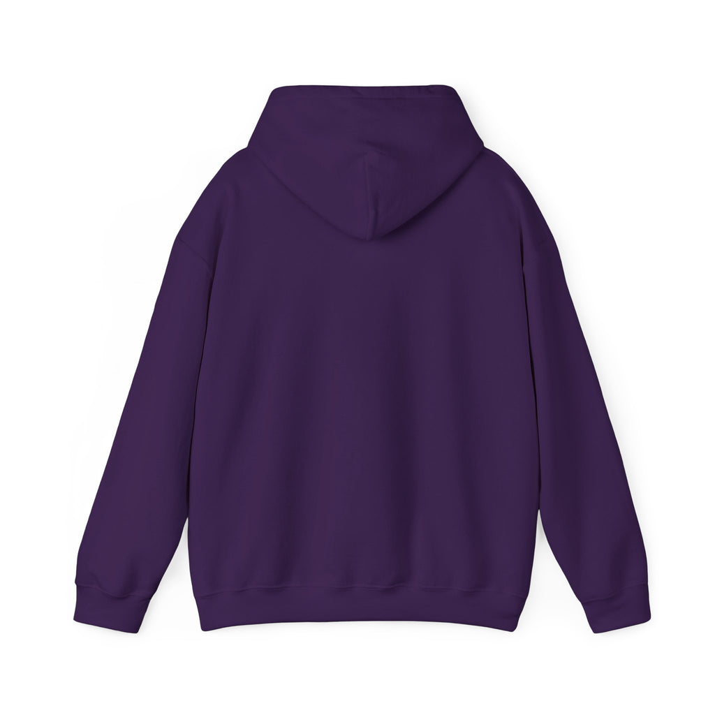 Heating And Cooling System Hoodie
