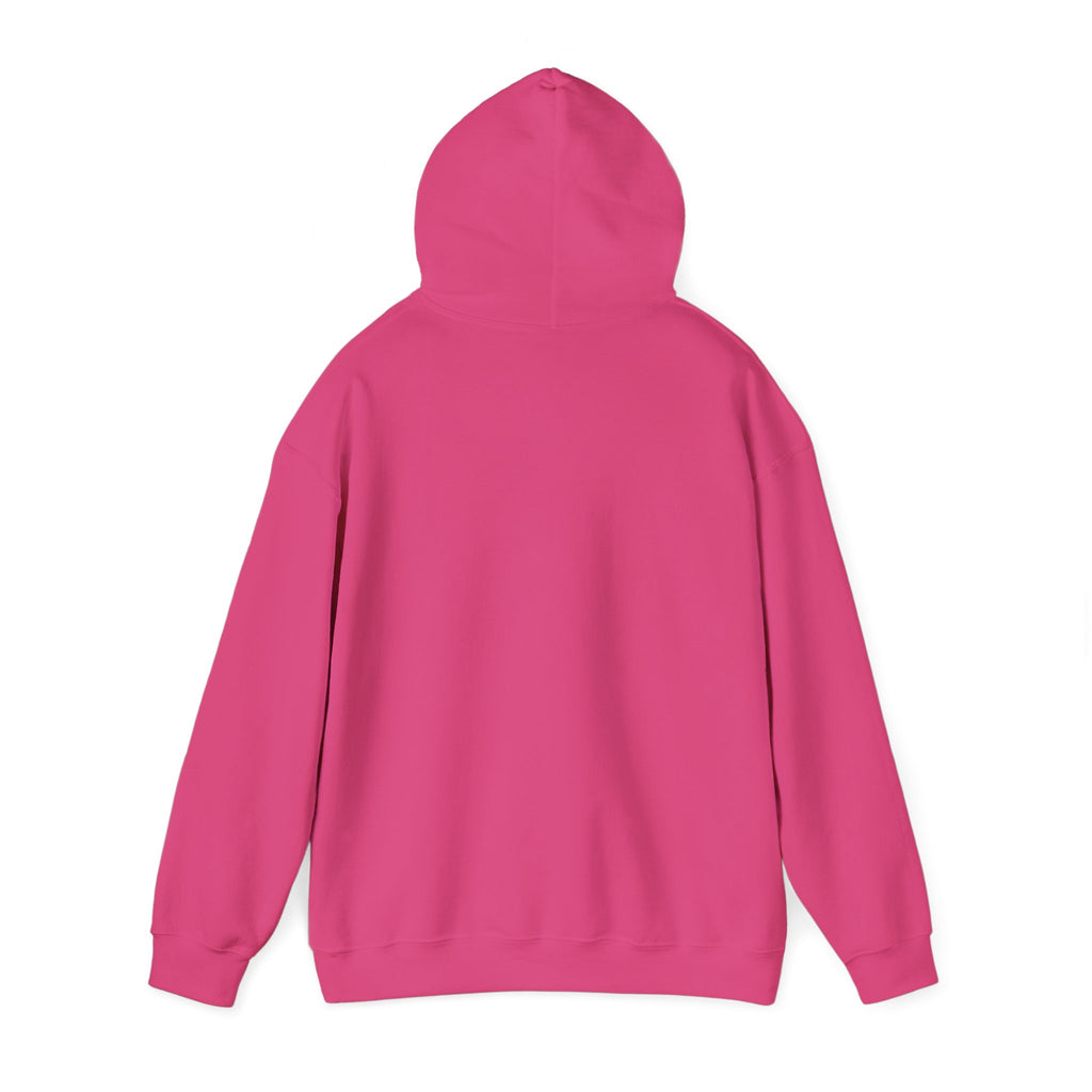Heating And Cooling System Hoodie